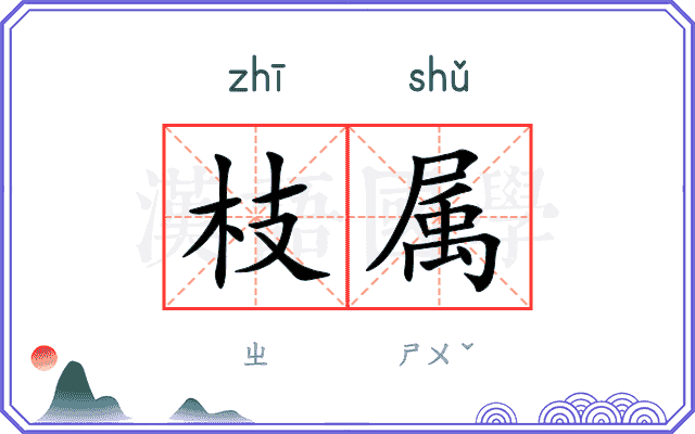 枝属