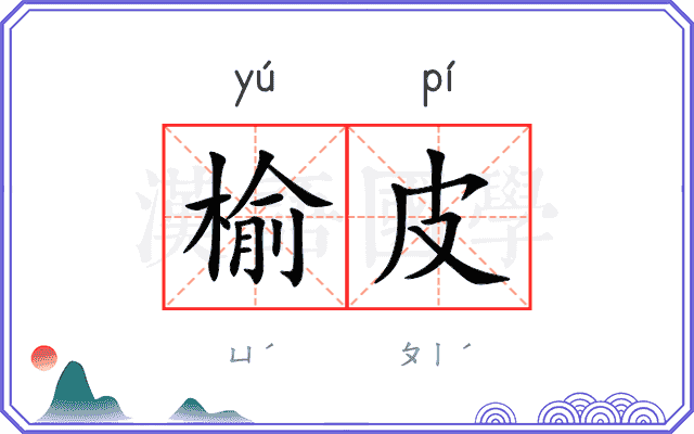 榆皮