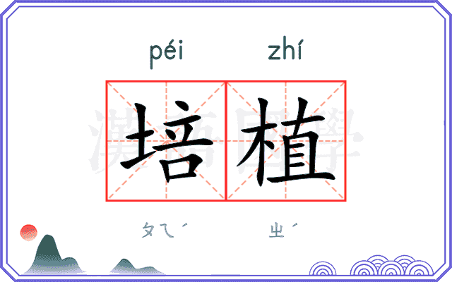 培植
