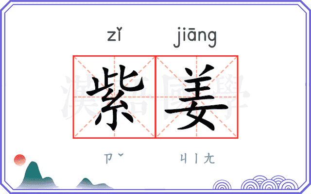紫姜
