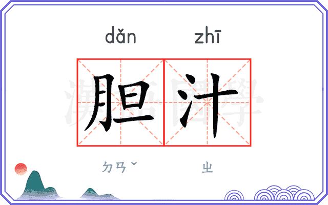 胆汁