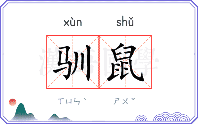 驯鼠