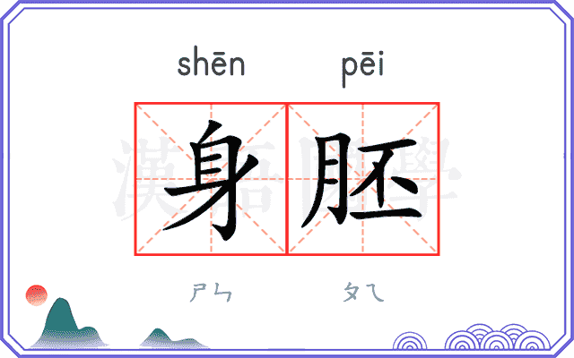 身胚
