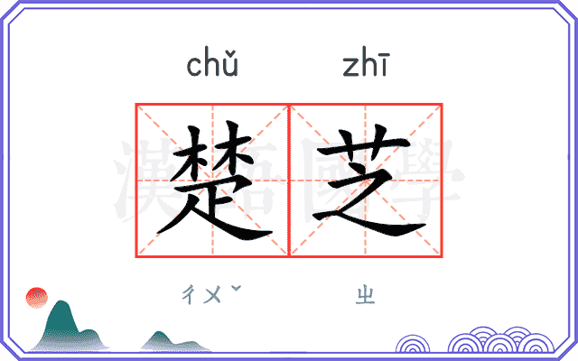 楚芝