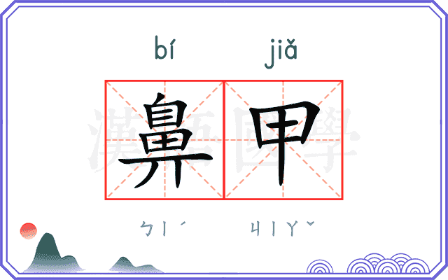 鼻甲
