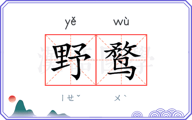 野鹜