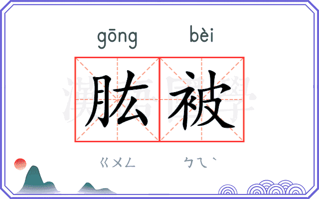 肱被
