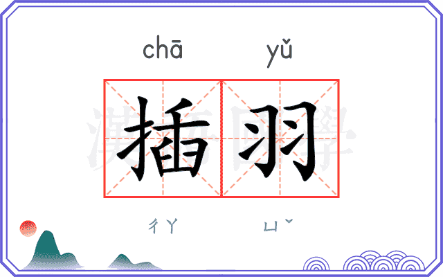 插羽