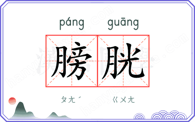 膀胱