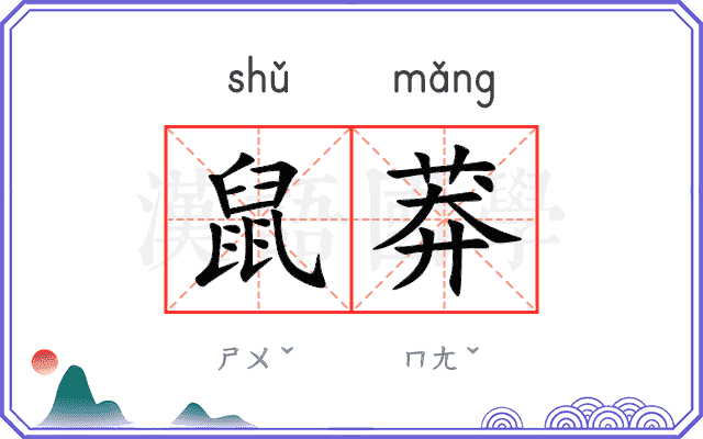 鼠莽