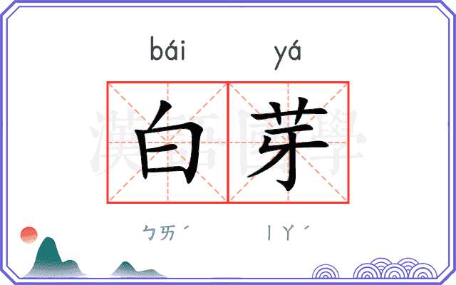 白芽