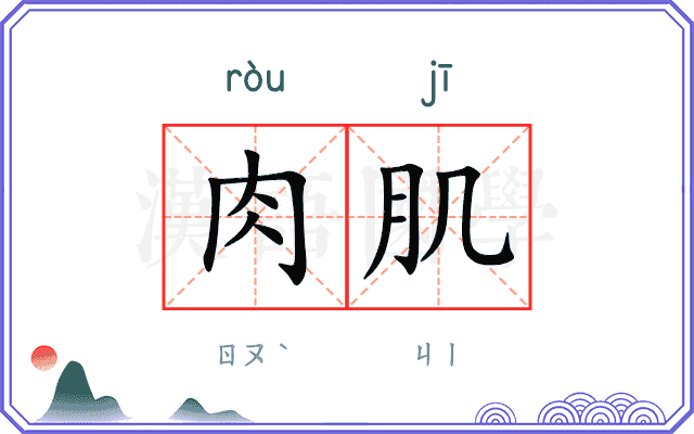 肉肌