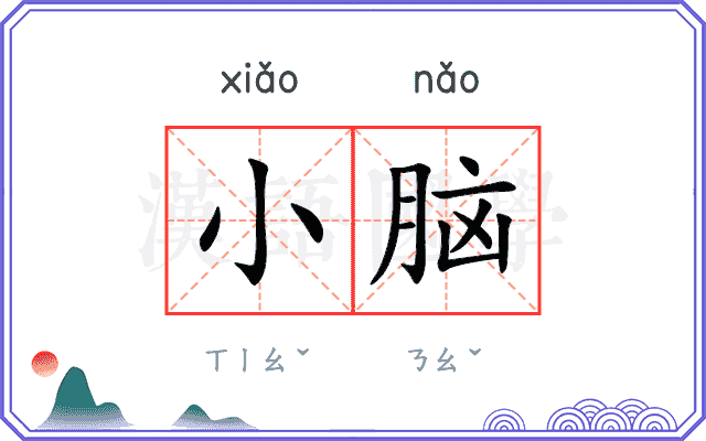 小脑