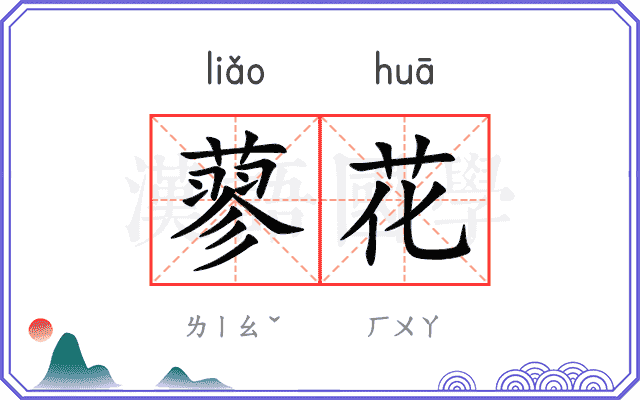 蓼花