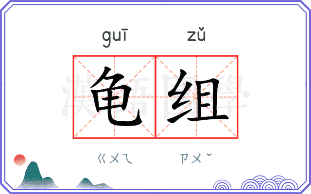 龟组