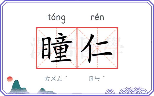 瞳仁