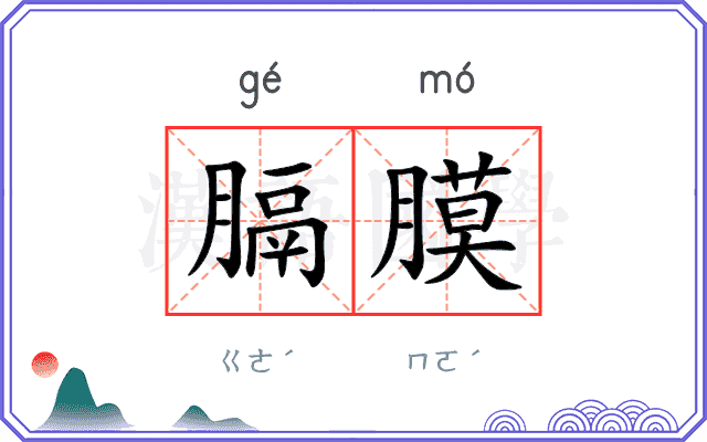 膈膜