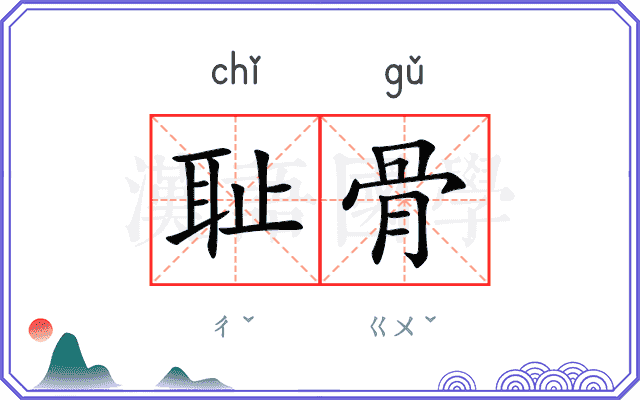 耻骨