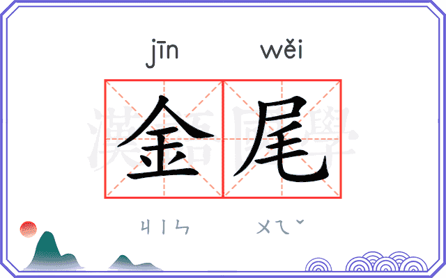 金尾