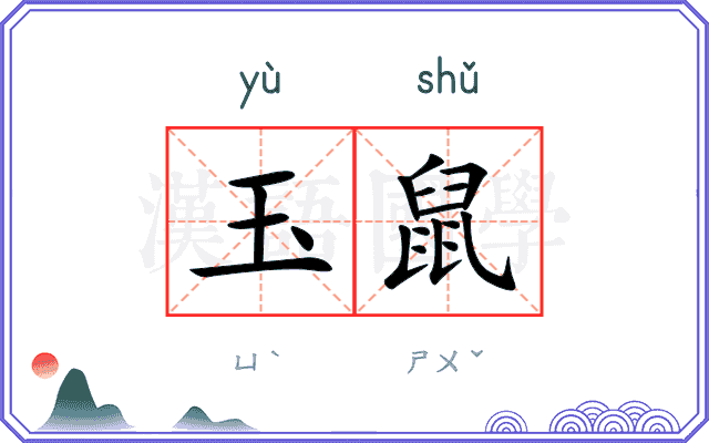 玉鼠
