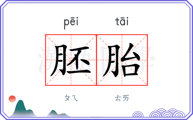 胚胎