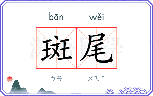 斑尾
