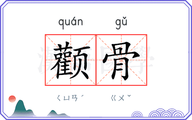 颧骨