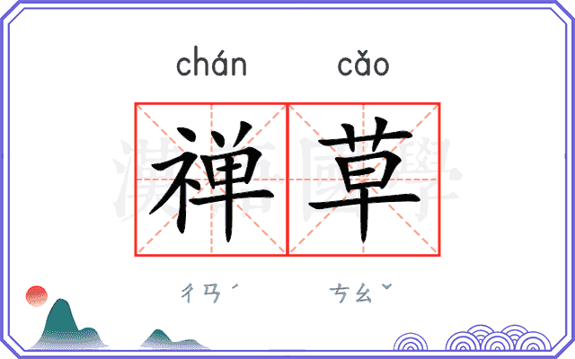 禅草