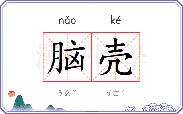 脑壳