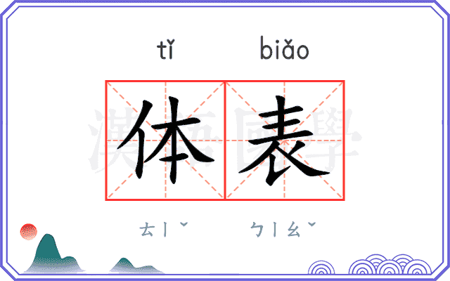 体表