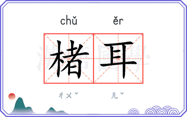 楮耳