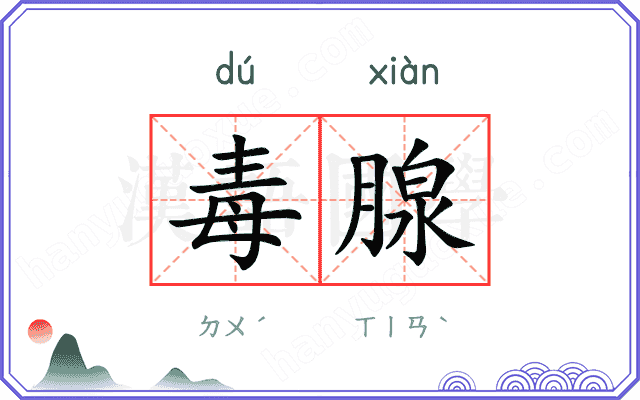 毒腺
