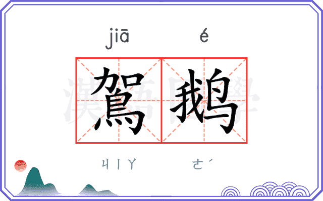 鴐鹅