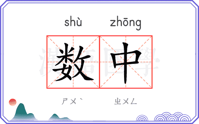 数中