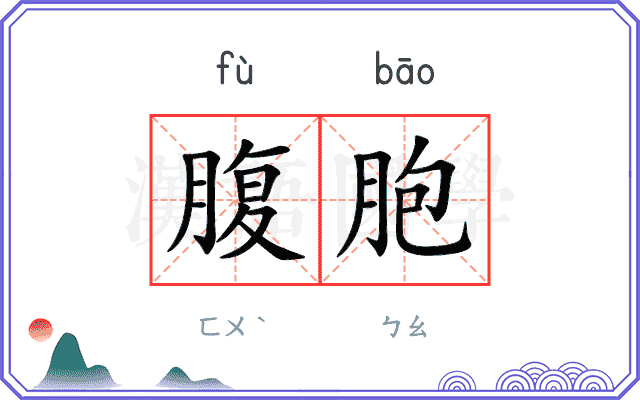 腹胞