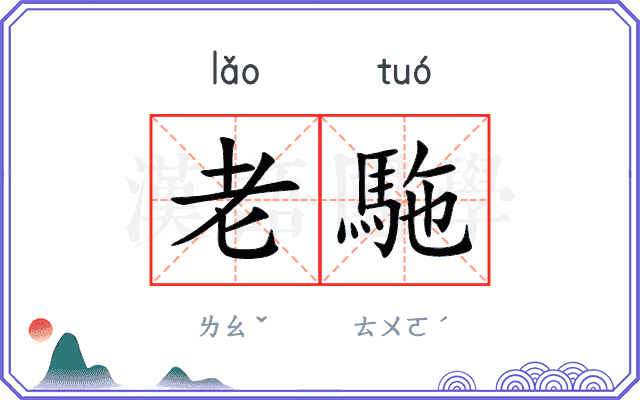 老駞