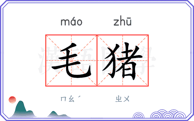毛猪
