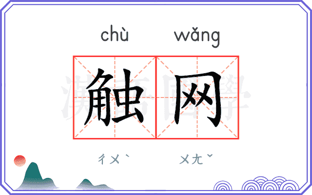 触网