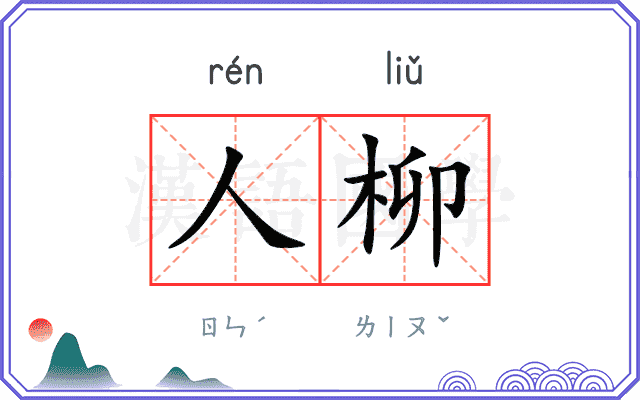 人柳