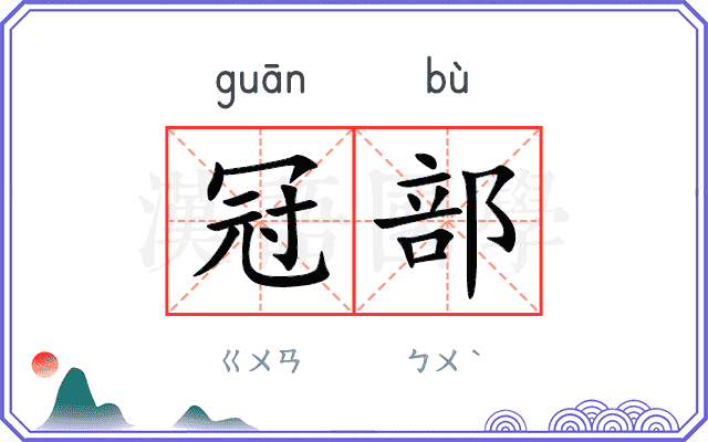 冠部