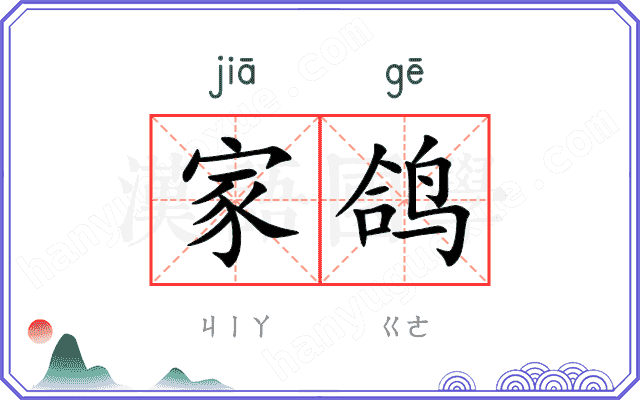 家鸽