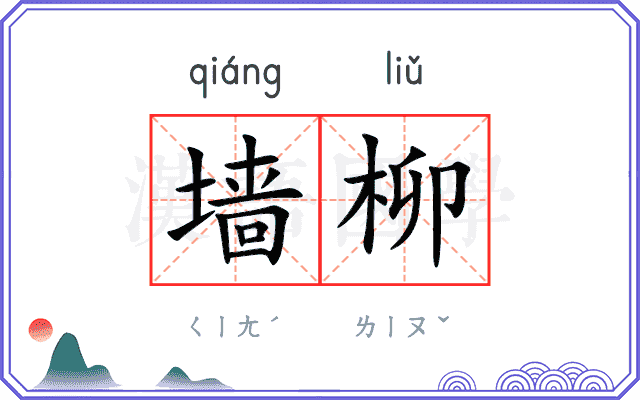 墙柳
