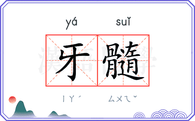牙髓