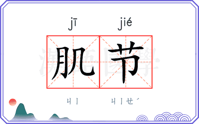 肌节