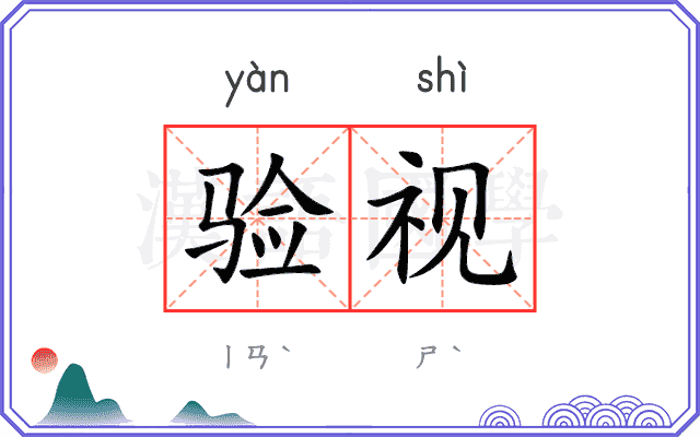 验视