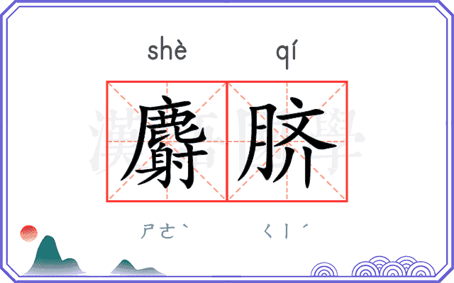麝脐