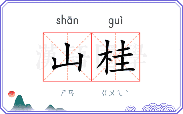 山桂