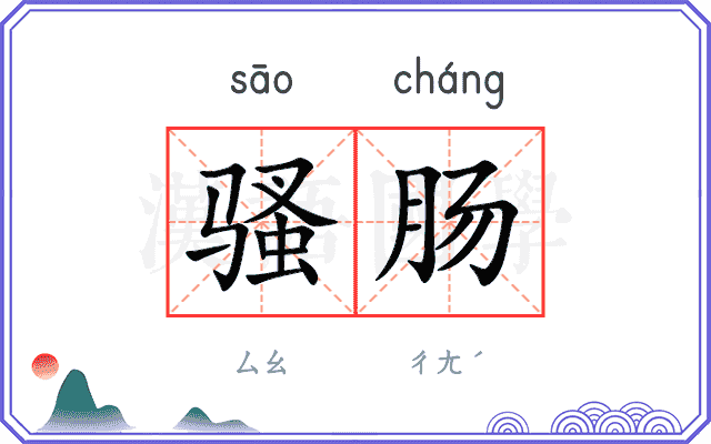 骚肠