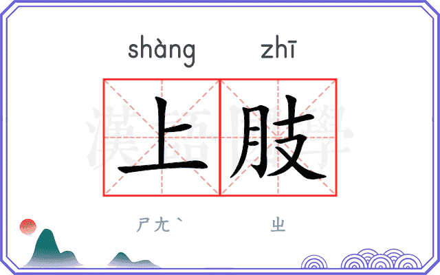 上肢