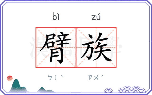 臂族